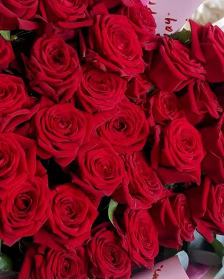 Купить букет красных роз 35 шт в Великом Новгороде в интернет-магазине «Дон  Пион»\"