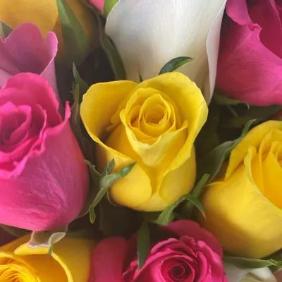Букет из 20 роз (Fiesta) - Цветочный Маркет 24 в Химках