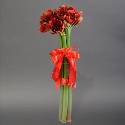 Букет из амариллисов и орхидей за 3920 ₽ с доставкой по Москве