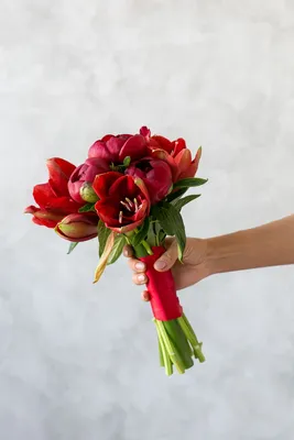 Новогодние букеты цветов Праздничный амариллис с доставкой | СтудиоФлористик