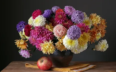 Bouquet of 51 asters - buy with delivery from ElitBuket