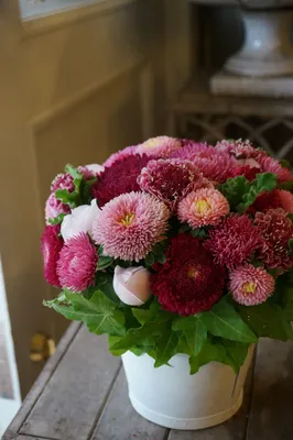 Заказать букет из Астр | доставка цветов | dakotaflora.com