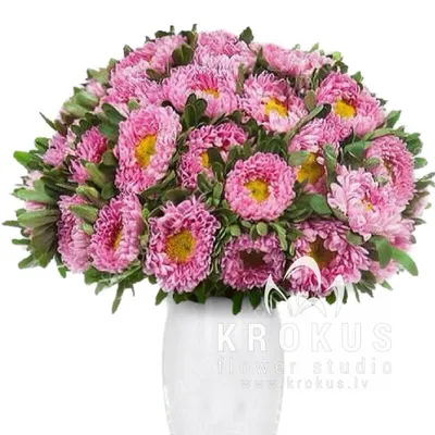 Моно букет из астр - купить в Москве | Flowerna