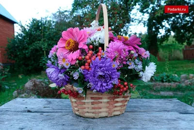 Как собрать недорогой и красивый букет к 1 сентября: советы флориста
