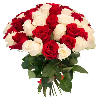 25 красных и белых роз | купить недорого | доставка по Москве и области