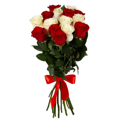 Купить букет из красных и белых роз с доставкой по городу, заказать красно  белый букет из роз
