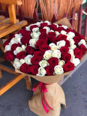 Купить Букет из 51 красной и белой розы (50 см) с доставкой в Омске -  магазин цветов Трава