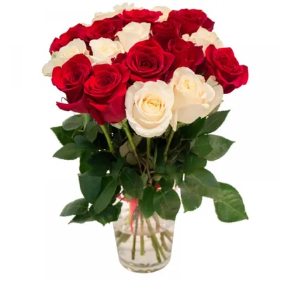 Only Rose — идеальный букет из роз | Купить букет из свежесрезанных красных  и белых роз «Бьянко Россо»
