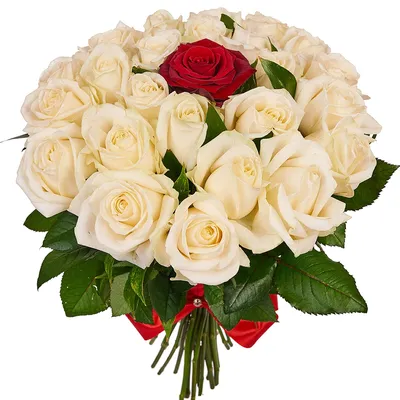 Купить 25 красных и белых роз 60см с доставкой по Калининграду за 1 час