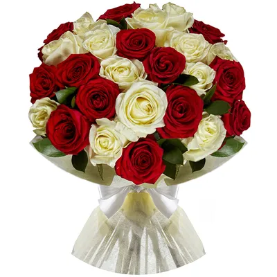 9 красных и белых роз - Доставкой цветов в Москве! 16710 товаров! Цены от  487 руб. Цветы Тут