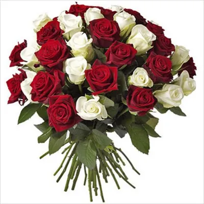 Букет из роз «Букет из 15 красных и белых роз» - купить с доставкой в  Челябинске