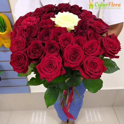 Роза Flor2u, цвет Красно-белый, 15 шт купить по выгодной цене в  интернет-магазине OZON (272271452)