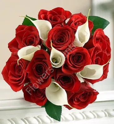 35 Белых роз - 5 435 руб, купить в Воронеже в магазине «Цветы Экспресс»
