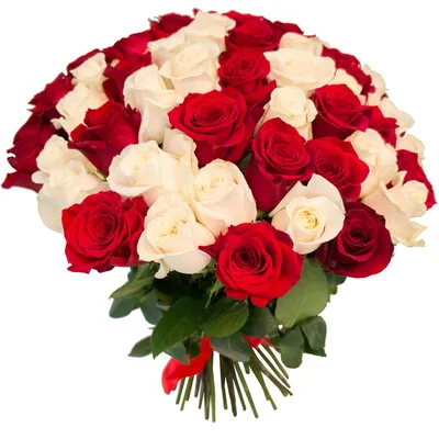 Букет из 15 красных и белых роз Эквадор» - купить в Москве за 5 080 руб