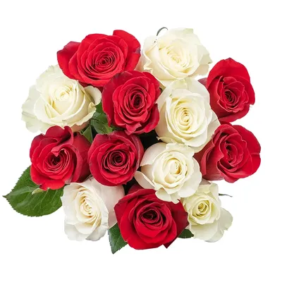 Букет из 39 красно-белых кустовых роз – заказать в Красноярске в компании  «Ромашково»