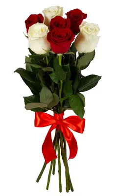 35 Красных и Белых Роз - купить букет с доставкой. Цена, фото, отзывы,  подарки | Ukraineflora