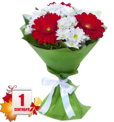 Букет Поцелуй лета» с герберами, хризантемами и гвоздиками - купить в  Оренбурге за 3 420 руб