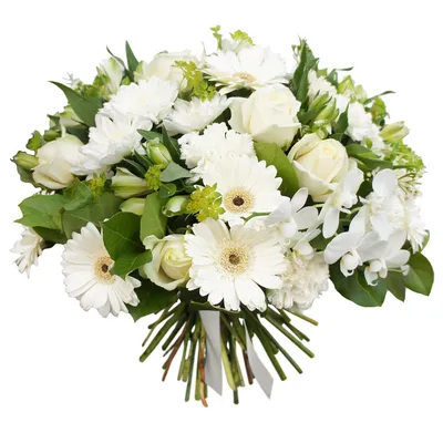 Букет из гвоздик и хризантем - заказать доставку цветов в Москве от Leto  Flowers