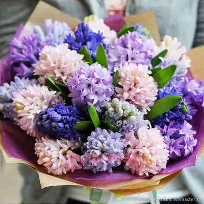 Микс букет из 15 гиацинтов купить в Твери по цене 2700 рублей | Камелия