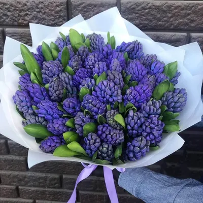 Букет из гиацинтов (Z2052) | Give Flowers