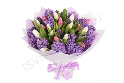 Купить 9 гиацинт с доставкой в Воронеже - Mon-Bouquet