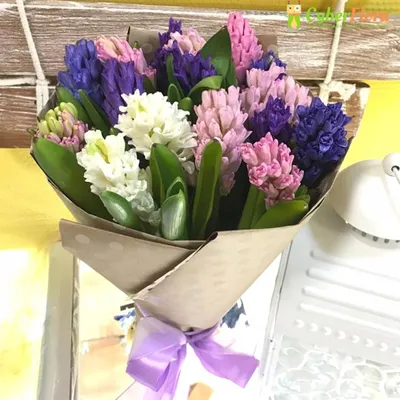 Букет из 3 гиацинтов коллегам – купить с доставкой в Москве. Цена ниже!