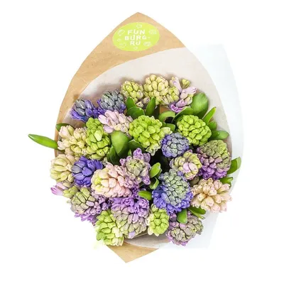 Букет из гиацинтов (Z2053) | Give Flowers
