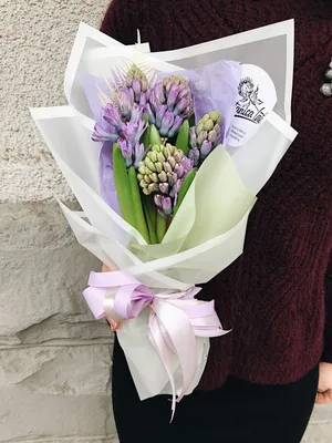 Букет гиацинтов микс в упаковке купить в Твери по цене 1460 рублей | Камелия