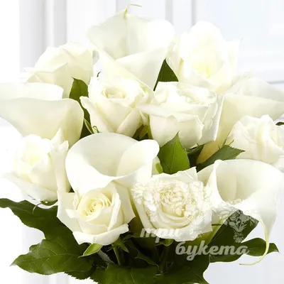 Букет невесты из калл и орхидеи купить | Интернет-магазин dakotaflora.com