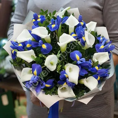 Букет калл \"Юбилейный\" 5 цветков купить по выгодной цене в  интернет-магазине KALINA