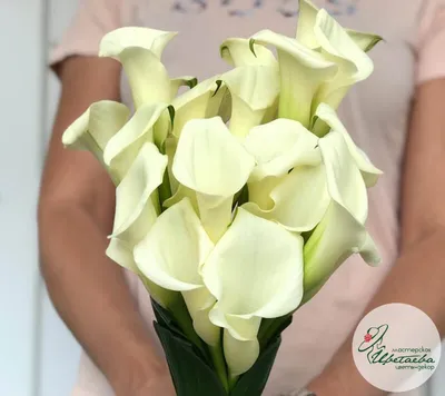 Купить букет невесты из калл и фрезий в Москве 🌺|Centre Flower