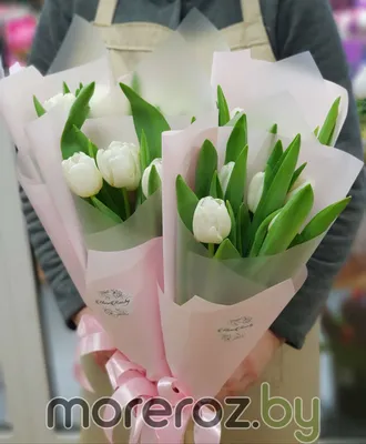 Букет из 5 белых тюльпанов • MoreRoz.By Выгодное предложение!