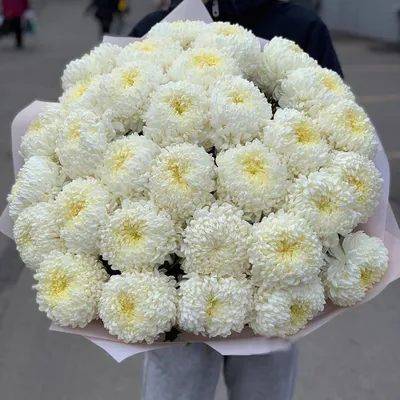 Нежный букет из хризантем в оформлении купить в Краснодаре с доставкой