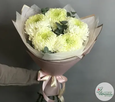 Букет из крупных одноголовых хризантем - Доставкой цветов в Москве! 93447  товаров! Цены от 487 руб. Цветы Тут