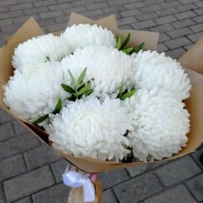 Букет хризантем «Белые кружева» купить в интернет-магазине Кубань-Букет по  цене 3 480 руб..