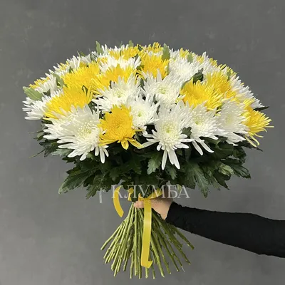 Купить большую хризантему с доставкой в Москве и МО в TopFlo.ru