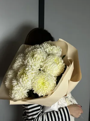 29 нежных крупных хризантем за 18 090 руб. | Бесплатная доставка цветов по  Москве