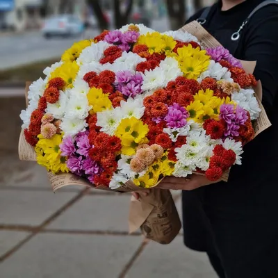 Букет хризантем «Маленький сюрприз» - купить по выгодной цене в Кургане