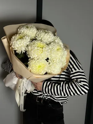 Купить Букет из одноголовой хризантемы в упаковке по цене 2160₽ доставка в  Рязани | http://Cvetnik62.ru