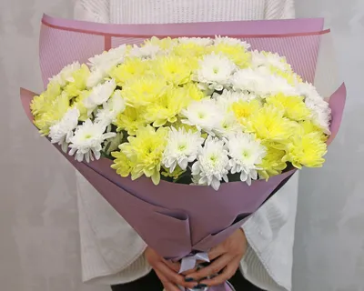 Букет из белых хризантем XL - Доставка цветов в Сочи - Belle Fleur