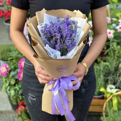 Лаванда - заказать букет цветов из свежей лаванды