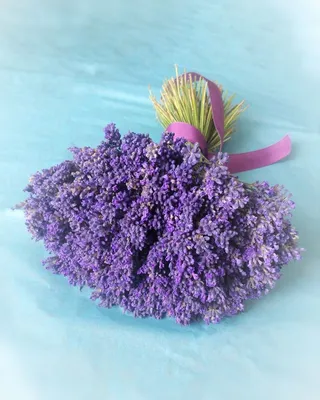 Сухоцветы Лавандовый Мир Лаванда, 23 см, 60 гр, 1 шт купить по выгодной  цене в интернет-магазине OZON (877395134)