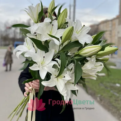 Купить букет лилий в Ростове-на-Дону с доставкой. | White lily bouquet,  White lily flower, Boquette flowers
