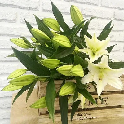 Траурный букет из живых цветов \"10 белых лилий\"– купить в  интернет-магазине, цена, заказ online