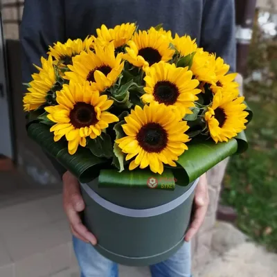 Солнечный букет из 11-ти подсолнухов. #vivarosa #создаемнастроение  #солнечныйбукет #подсолнухи #доставкацве… | Сентябрьские цветы, Подсолнухи  букет, Доставка цветов