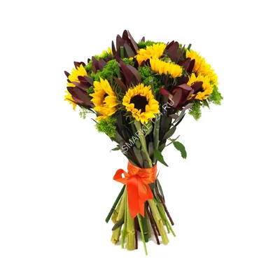 Bouquet of 21, 7, 3 sunflowers - buy with delivery from ElitBuket