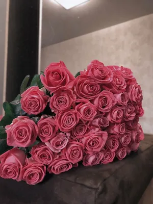 Дуо-букет розы Ред Пиано и оксипеталум - купить в Москве | Flowerna