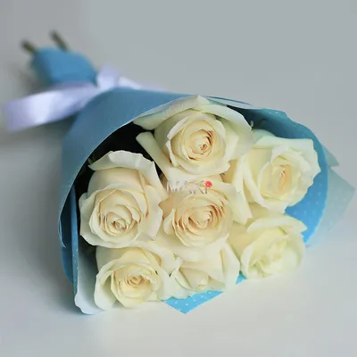 Букет из 7 красных роз Эквадор 70 см - купить в Москве по цене 2990 р -  Magic Flower