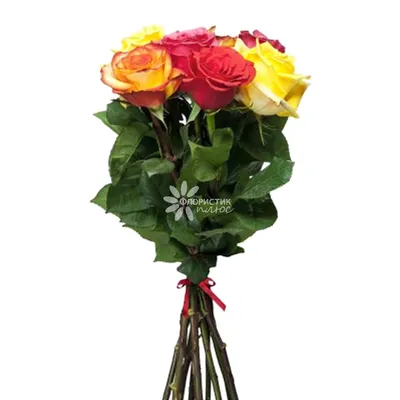 Букет из 7 белых роз. купить в Краснодаре недорого - доставка 24 часа