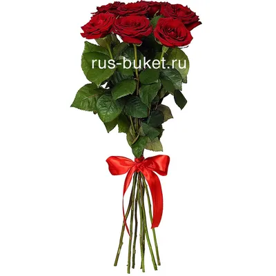 Купить букет из 7 красных роз в Воронеже